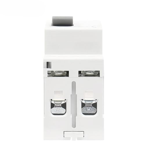 Disjoncteur 2P 63A 100mA différentiel pour la protection des circuits électriques
