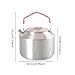 RNXRZANK Portable Kettle for Camping, Lightweight Water Jug for Tea and Coffee, Red and 1.5L