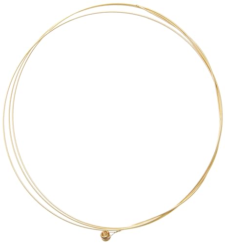 Encordoamento 009-046 Ernie Ball P02010, para Violão Aço 12 Cordas, Earthwood Tensão Leve 80/20 Bron