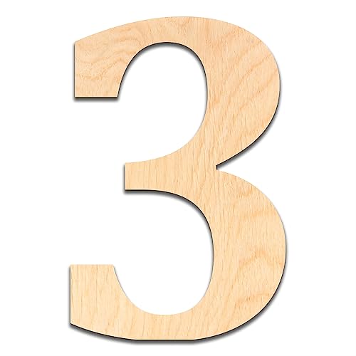 4 inch Baltic Birch Number 3