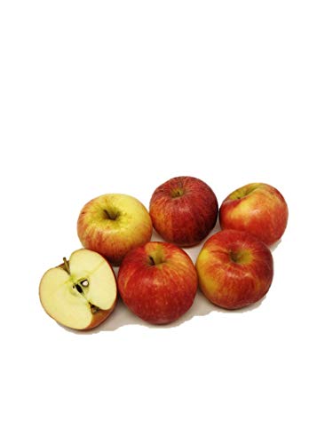 Amae New Zealand Gala Apple 6 pieces 720g