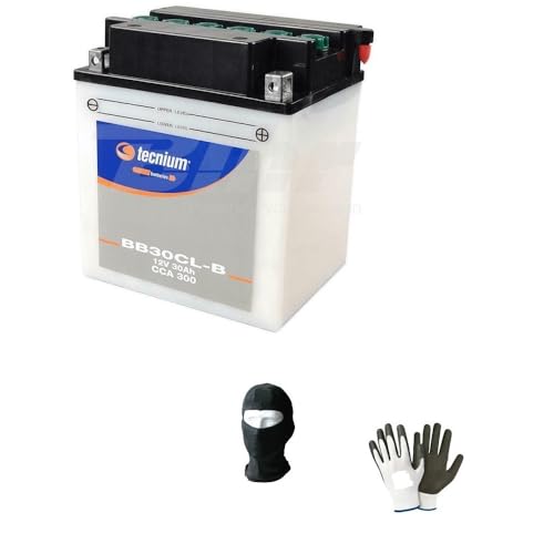 Compatible con BOMBARDIER GTX 4 Tec 1500 2005 BATERIA para Motos DE Agua TECNIUM YB30CL B BATERIAS 30 AMPERIOS 12 VOLTIOS Completa con LIQUIDO ESPECIFICO