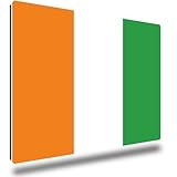 TRIOSK Kühlschrankmagnete Länderflaggen Magnet Flagge Elfenbeinküste Reise Souvenir Geschenk für Reiselustige Frauen Männer Weltenbummler Kühlschrank stark eckig groß 85x55 mm