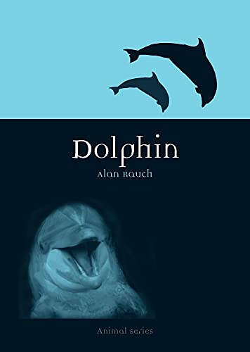 Dolphin (Animal)