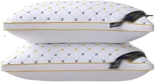 Noyau d'oreiller d'aide au sommeil Feng Shui lit simple 48x71cm