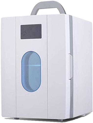 Auto Kühlschrank, 10L Kühlbox Dual Voltage Auto Kühlschrank 12V / 220-240V für Auto und Heim, tragbare Auto Cool und Warm Electric Cool Box