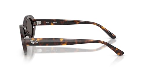 Image of Ray-Ban womens Rb2223 Oval Sunglasses