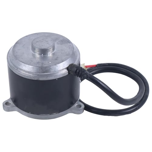 RONGPAS Electric Scooter Motor XYDJ130601664 XYD-6B SD-156 Compatible with eZip E-500 GT-500 Compatible with IZIP I-500