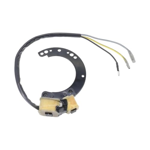 Stator 86617A20 résout les pannes de démarrage des moteurs 6 à 40 CV 2T