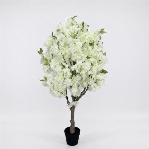 観葉植物 桜 鉢植え」の人気商品一覧・価格比較 - 価格.com