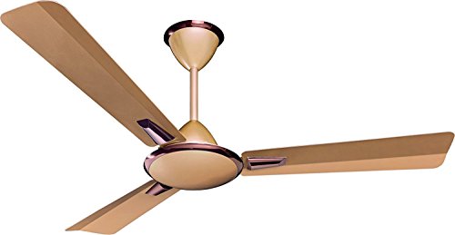 Crompton Aura Prime 900 mm (36 inch) Decorative Ceiling Fan with Anti Dust Technology (Birken Effect), Brown