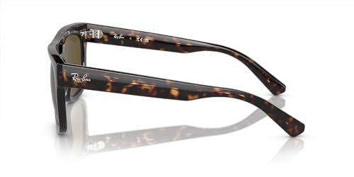 Ray-Ban RB4426 Phil Square Sunglasses2