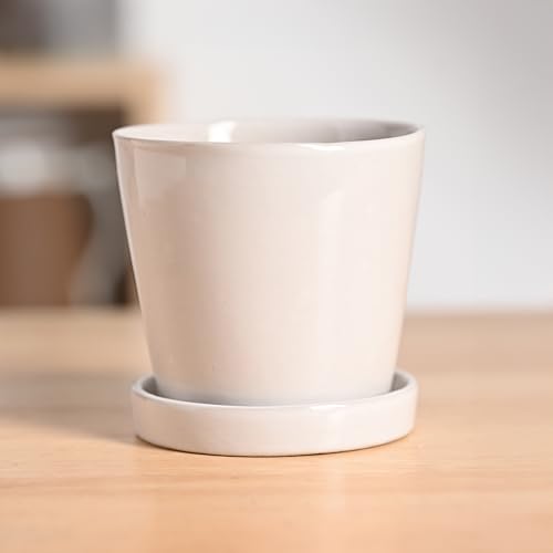Image of UGAOO Table Top Ceramic Pot |Indoor Ceramic Planter for Home, Office, Garden, Balcony - White (4 Inch)