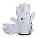 TB Plus 160IBSZ Gants de protection du travail | Gants de sécurité pour travail avec risques mécaniques et thermiques Fabriqué en cuir fleur vachette, couleur grise, lot de 10 paires - Taille 9