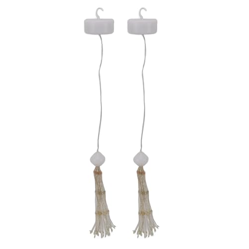 aqxreight Guirnaldas de Luces LED de Alambre de Cobre, Cadena de Luces con Control Remoto, Luces Esféricas para Fiesta, Patio y Jardín