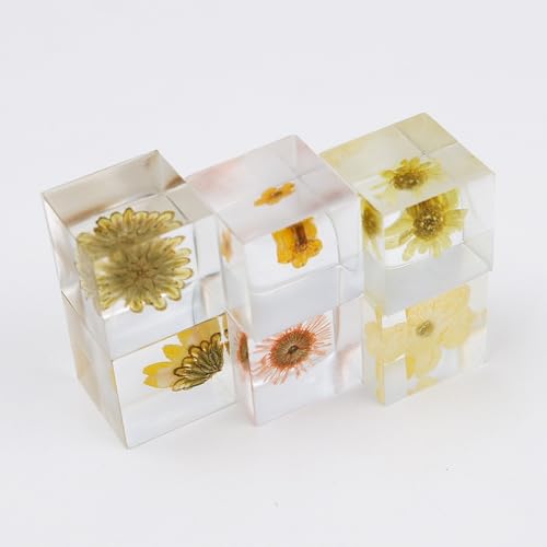 POFET 10 Stück Briefbeschwerer aus Kunstharz mit Blumenmotiv der Frühherbst-Gelb-Serie für den Schreibtisch, mit echter geprägter Mustertischdekoration, durchsichtiger quadratischer Briefbeschwerer