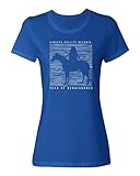 Liberte Egalite Singer Year of Renaissance Beyonce Ladies' Crewneck T-Shirt (Royal, Medium)
