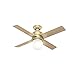 Hunter Hepburn Indoor Ceiling Fan with LED Light and Wall Control