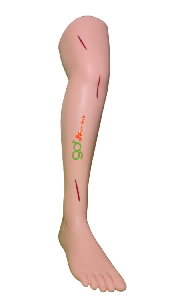 See full amazon price history chart for GD ANATOMICALS® Advanced Surgical Suture Leg Model - Life-Size Human Leg Anatomy Simulator with Realistic Skin, Tissues, and Blood Vessels - Ideal for Medical Training, Suturing Practice, Wound Closure, and Skill Development for Medical Students, Re GD ANATOMICALS® Advanced Surgical Suture Leg Model - Life-Size Human Leg Anatomy Simulator with Realistic Skin, Tissues, and Blood Vessels - Ideal for Medical Training, Suturing Practice, Wound Closure, and Skill Development for Medical Students, Re (B0CGZKSW6M) Amazon Price History, Amazon Price Tracker