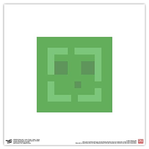 Affiche Minecraft Iconic Pixels illustration murale carrée sans cadre
