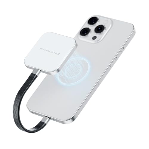 �y�}�O�l�b�g�������^�zFanxiang magsafe�O�t��SSD �����|�[�^�u��SSD �ő�500MB/s �y�� �g�ѕ֗� �f�[�^�Í��� �n�[�h�f�B�X�N PS5/PS4/�m�[�gPC/�^�u���b�g �Q�[�~���O �X�g���[�W ����ҏW�p PS500 �yiPhon