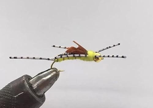 One Dozen (12) - Beadhead Sparkle Stonefly - Golden - Nymph 10