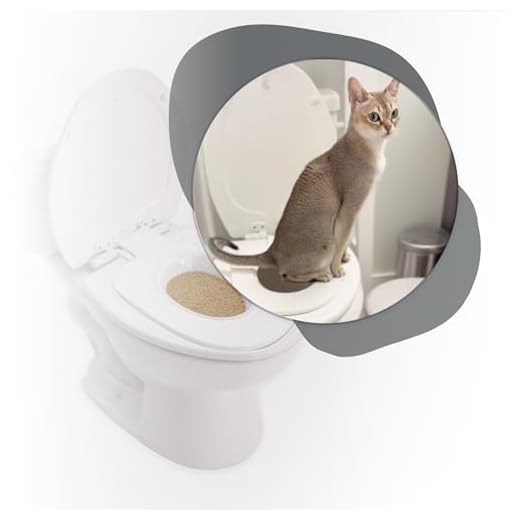 The Cat Throne Toilet Training Kit