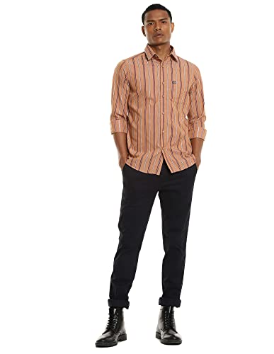 Image of Arrow Men's Slim Fit Shirt