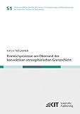 Einmischprozesse am Oberrand der konvektiven atmosphaerischen Grenzschicht (Wissenschaftliche Berichte des Instituts für Meteorologie und Klimaforschung des Karlsruher Instituts für Technologie)