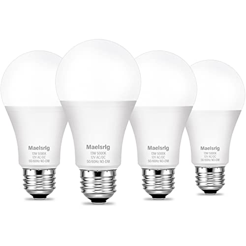 LED 12V Light Bulb 100W Equivalent Daylight White 5000K 13W 1200 Lumens 12 Volt AC/DC Non-Dimmable E26 Base Low Voltage Light Bulbs for Boat RV Shed Off Grid Cabin and Solar Power 4-Pack