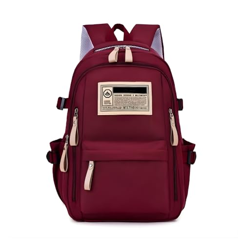 Mochila Feminina Masculina para Notebook, Trabalho e Viagem (Vinho)