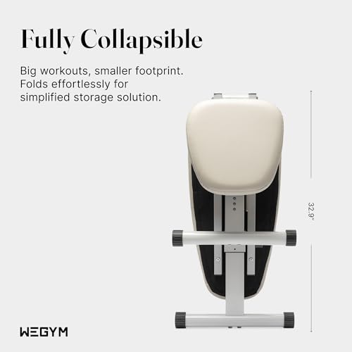 WeGym Fitness Bench, Adjustable, Collapsible, Comfortable, and Luxurious Home Gym Bench for Strength Training - Image 6