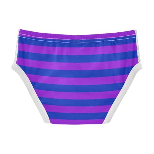 Purple Navy Stripe Toddler Boy's Underwear 2T2