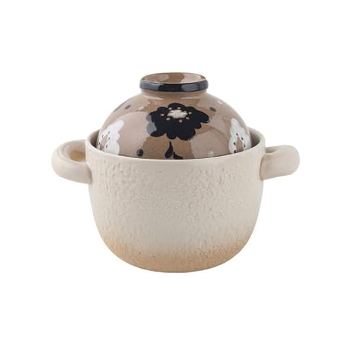 Olla de arcilla para cocinar, olla caliente de cerámica con tapa, cacerola resistente al calor para cocinar al vapor, cocinar a fuego lento y cocinar lentamente