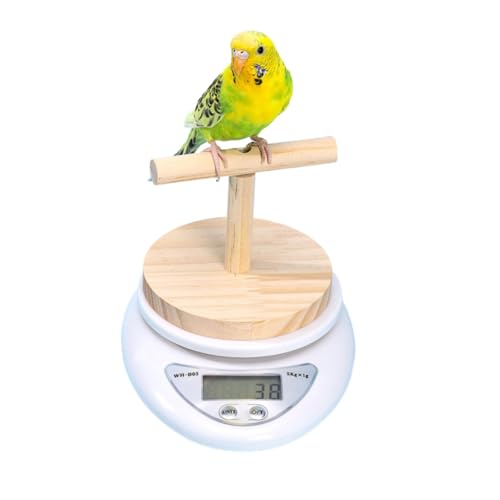 ���p�X�P�[�� ���̑̏d�v �~�܂�ؕt�� 1g-5000g �̏d���� ���a�ʑ��� ����P�ʁFg/lb/oz �����x ���삪�ȒP ���@�\ �����A�L�b�`���p�A���~���N�A�������ȂǂɓK���Ă��܂�