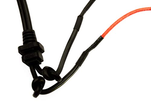 Cordon de Poder y Fusible Reemplazo 2 Prongs GJS Gourmet miniatura 2