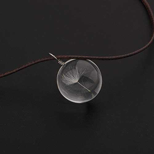 CHOORO Dandelion Necklace Real Dandelion Seed Inlaying Crystal Ball Necklace Dried Pressed Flower Pendant Necklace Flower Lovers Gift3