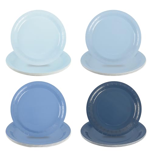 AimFun 48Pcs Dusty Blue Paper Plates Gradient Blue Party Plates 9 Inch Disposable Pastel Birthday Plates Round Dinner Dessert Plates for Wedding Baby Bridal Shower Party Supplies Tableware Decor AimFun 48Pcs Dusty Blue Paper Plates Gradient Blue Party Plates 9 Inch Disposable Pastel Birthday Plates Round Dinner Dessert Plates for Wedding Baby Bridal Shower Party Supplies Tableware Decor