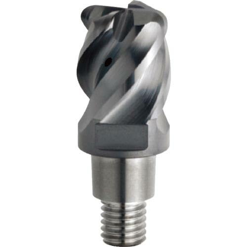 ヤナカーン Bird Skull Eye Socke BK BSK-001-04 ヤナカーン Bird Skull Eye Socke BK BSK-001-04 Chicken Skull For