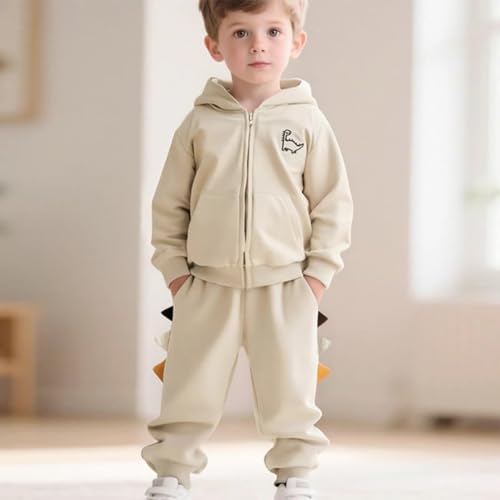 Boys Long Sleeve Outfits,2 Piece Kids Hoodie Sweatshirt Trouser Set,Hooded Tracksuit Fall Clothing Set for 2-7 Years2