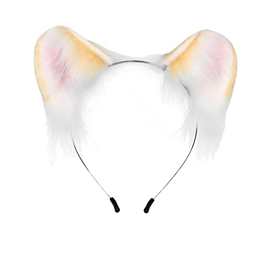 TISHITA LLcltFCNt@[J`[V킢nEBRXv蓮wAt[v, 