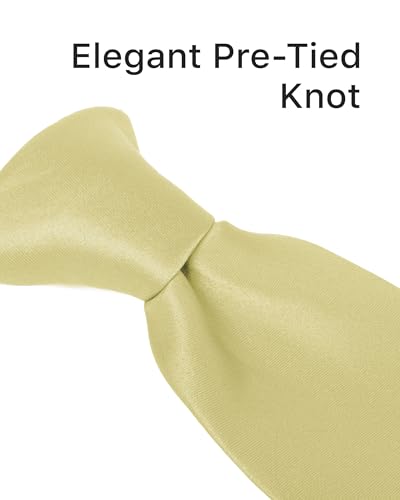 Image of boxed-gifts Clip on Ties for Men - Premium Black Solid Color Clip on Tie