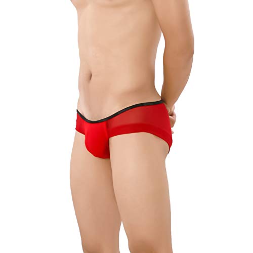 Sexy Transparent Ultra Thin Mesh Men's Bikini Pants Large Size See-through Briefs Men's Shorts Underwear4