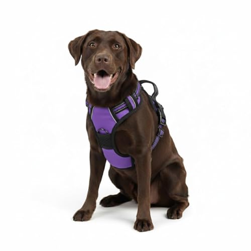 Gavpepy No Pull Dog Harness, Reflective Comfortable Vest