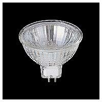TOSHIBA ネオハロビーム JR12V50W/K5M/N 8個セット Amazon.co.jp: ネオハロビーム JR12V50W/K5M : ペット用品