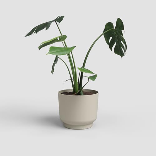 Artevasi Blumentopf Miami 16cm Creme – Moderner Übertopf aus recyceltem Kunststoff mit Matter Oberfläche – dekorativer Pflanztopf