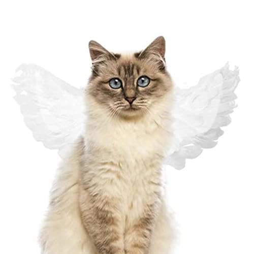 Generic Pet Angel Feather Wings Pet Harness Pet Costume Accessory Dog Cat Halloween Cosplay Dress Up Pet Supplies  cover
