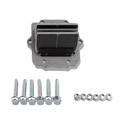 Clapets d'admission moto carbone pour Kawasaki KDX 200 220 et KX 250