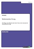 GRIN Verlag