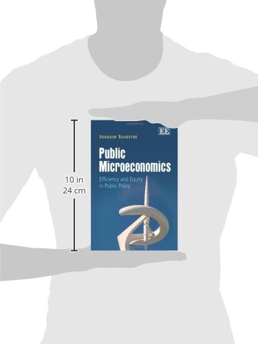 Public Microeconomics: Efficiency and Equity in Public Policy